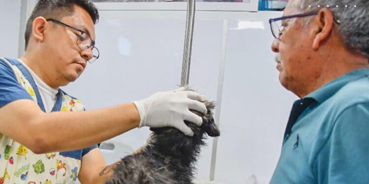 Clínica Veterinaria Móvil brinda atención en la Cdla. Manuel Encalada