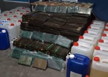 Pareja de ecuatorianos llevaba sustancias ilícitas de Guayaquil a España