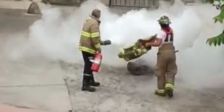 Hombre fue atacado por un enjambre de abejas