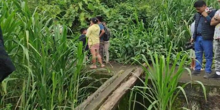 Encuentran cadáver de un hombre colgado de un árbol y con una funda en la cabeza