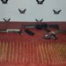 Aprehendidos con armas de fuego y municiones