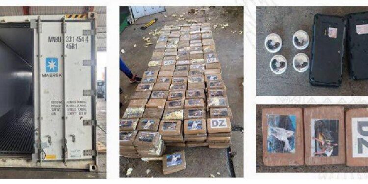 Se encontraron 550 kilos de sustancias ilícitas en un contenedor