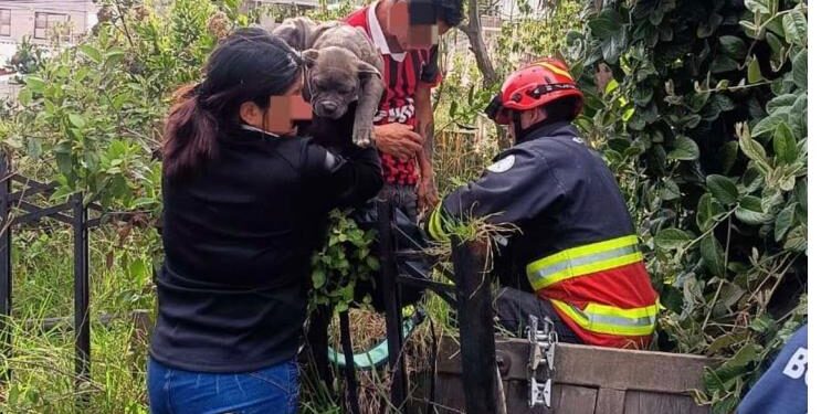 Joven bajó a una quebrada a rescatar a su mascota y quedó atrapado