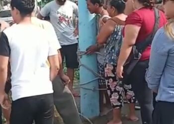 Sospechoso de robo fue atado a un poste