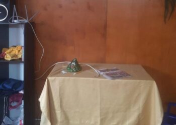 Entraron a robar en su casa mientras dormía