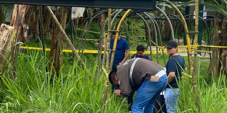 Extranjera fue asesinada con disparos