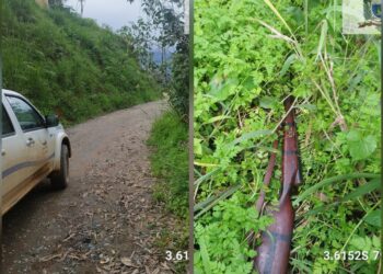 Abandonó una escopeta para evitar ser detenido