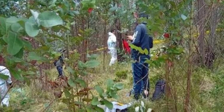 Encuentran en cadáver de una mujer que estaba reportada como desaparecida