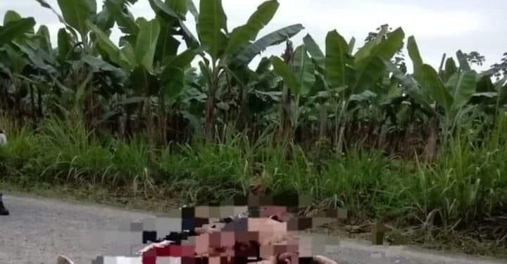 Cuatro cadáveres encontraron abandonados en la carretera a Balao