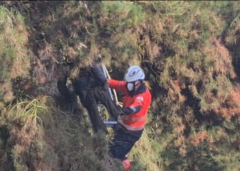 El cadáver de un hombre fue hallado colgado de un árbol