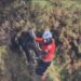 El cadáver de un hombre fue hallado colgado de un árbol