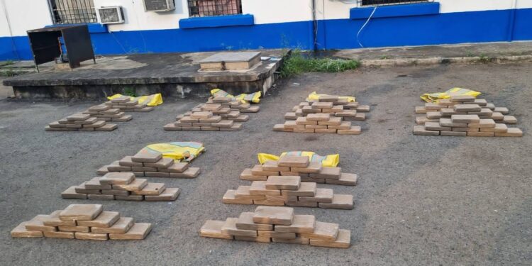 Dos detenidos por el transporte de 180 paquetes de sustancias ilícitas recibieron prisión preventiva