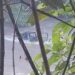 Tres personas se encuentran desaparecidas al ser arrastradas por un río