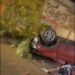 Carro se volcó al chocar contra un árbol