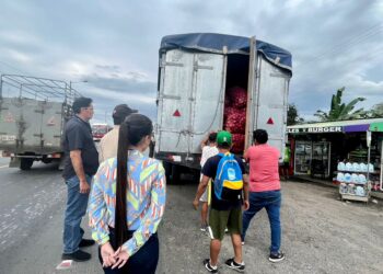 Un camión retenido con mercadería de dudosa procedencia