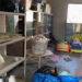 Docentes y autoridades de la Escuela «Bolivia Benítez» están en zozobra por delincuentes roban en la institución