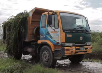 Continúan las labores de limpieza y desazolve en el drenaje El Mar, ubicado a la altura del km 10.5 de la vía Balosa