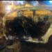  Incinerado en el interior del vehículo en el que se movilizaba falleció Leonardo Ramírez Gómez