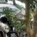 Cinco heridos y un fallecido deja accidente de tránsito