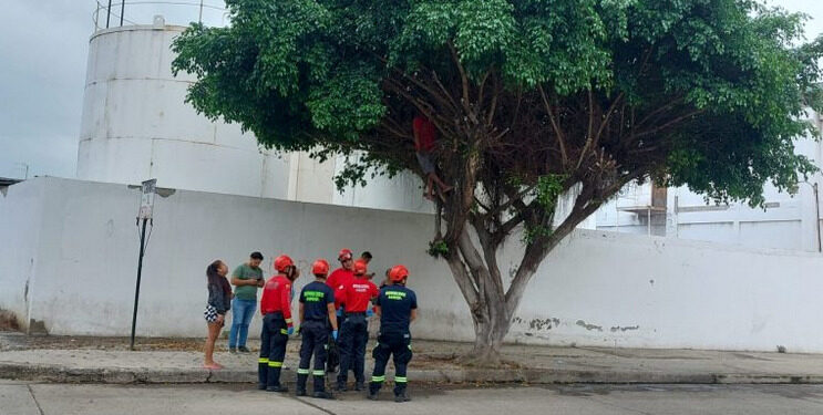 Un hombre apareció colgado de un árbol