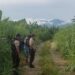 Hombre al que degollaron y dispararon ya fue reconocido