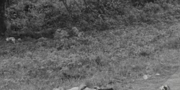 Lo hallaron muerto con disparos en la vía pública