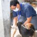 Mascotas maltratadas fueron rescatadas por el Municipio