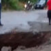 Varios hundimientos o socavones se han producido en varios tramos de la carretera vía a Chilla
