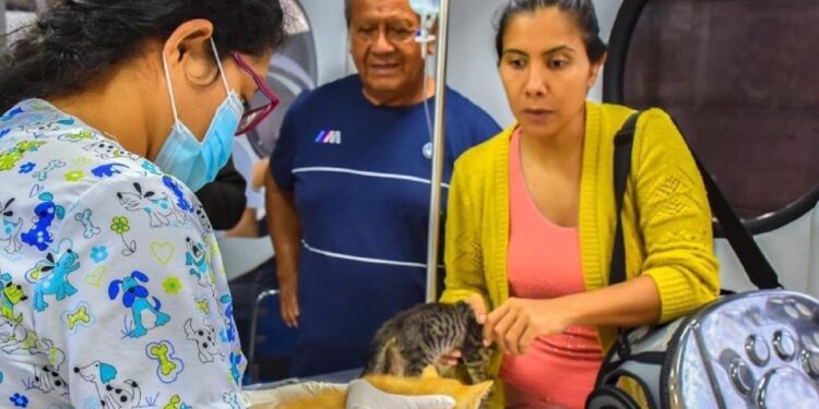 Mascotas del Barrio 20 de Junio reciben atención médica