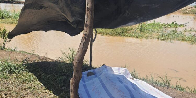 Murió electrocutado en una camaronera