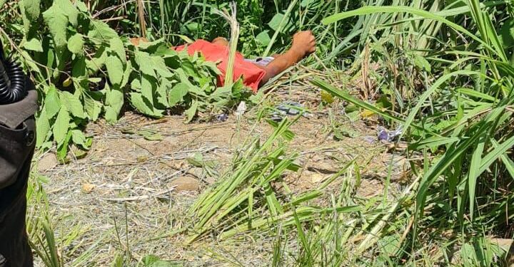 Encontraron un cadáver abandonado en media de la maleza