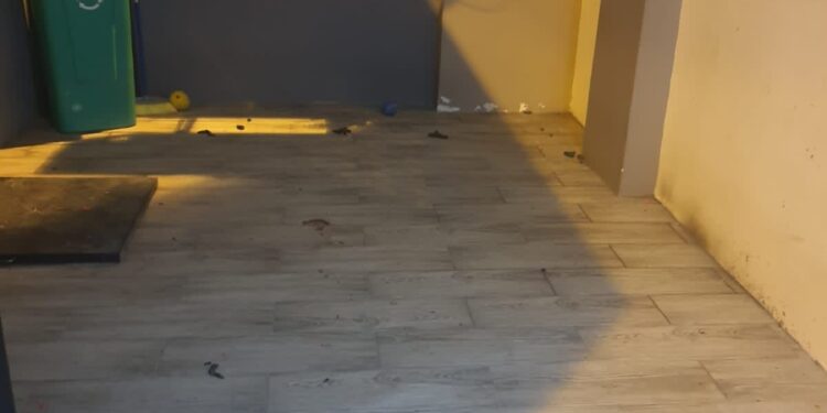 Artefacto explosivo detonó en el interior de una vivienda