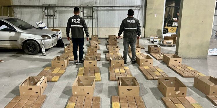Media tonelada de droga fue incautada en operativo policial