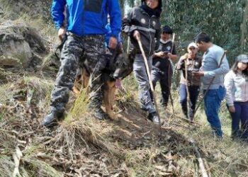 Hallan los restos óseos de una niña reportada como desaparecida