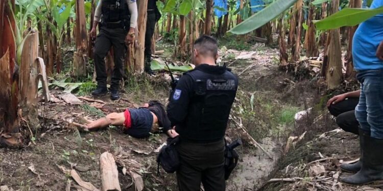 Fue degollado y abandonado en una bananera
