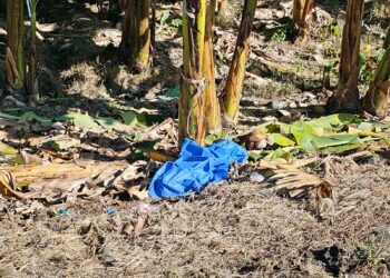 Lo encontraron muerto a un lado de la vía