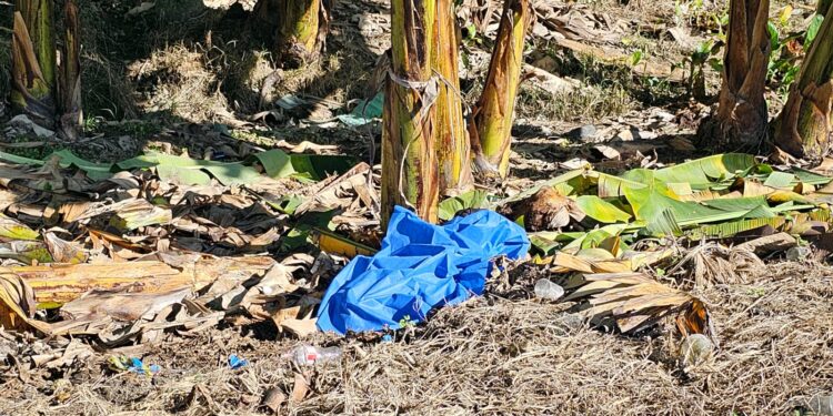 Lo encontraron muerto a un lado de la vía