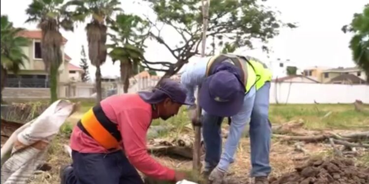 Municipalidad de Machala avanza con proyecto ambiental