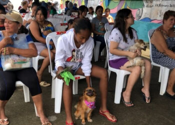 Más de 150 mascotas recibieron atención médica impulsada por la Prefectura de El Oro