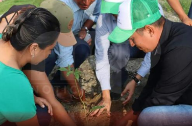 Prefectura entregó 2000 árboles de Guayacán