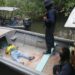 Posible pirata fue detenido en un operativo en altamar