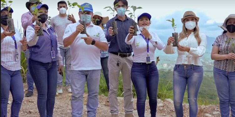 Prefectura de El Oro celebra Día del Árbol con Proyecto de Reforestación