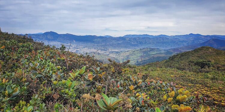 La supervivencia de toda una especie puede depender del nombre