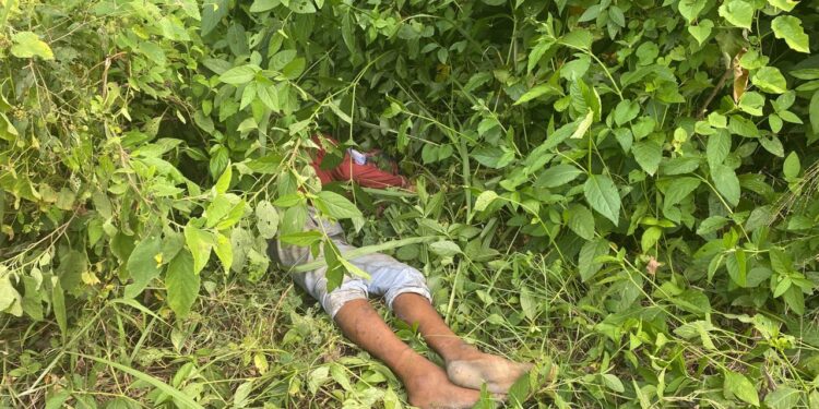 Cadáver con las manos amarradas fue encontrado en la maleza