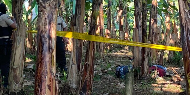 Fueron ejecutados en una bananera