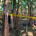 Fueron ejecutados en una bananera