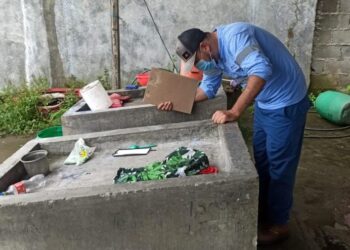 Una niña de siete años murió por dengue hemorrágico 