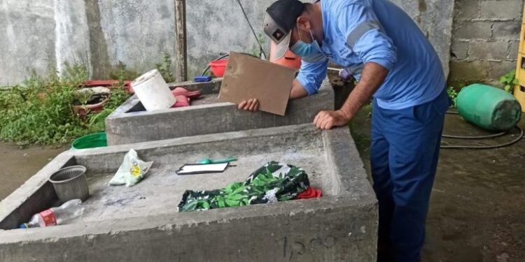 Una niña de siete años murió por dengue hemorrágico 