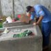 Una niña de siete años murió por dengue hemorrágico