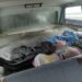 Aprehendido con 300 galones de CLDH